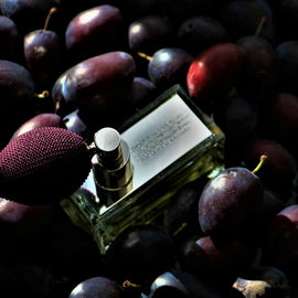 Prada (2004) / Prada Amber - Prada