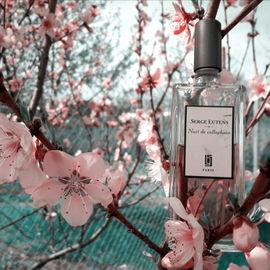 Nuit de cellophane - Serge Lutens