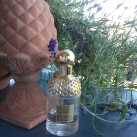 Aqua Allegoria Nerolia Bianca - Guerlain