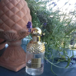 Aqua Allegoria Nerolia Bianca by Guerlain