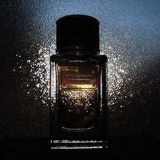 Velvet Desert Oud - Dolce & Gabbana