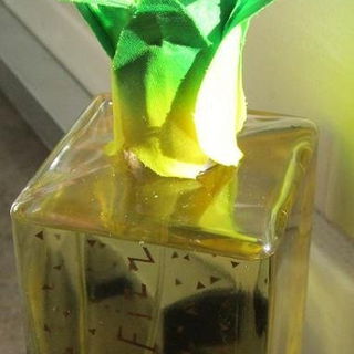 Ananas Fizz - L'Artisan Parfumeur