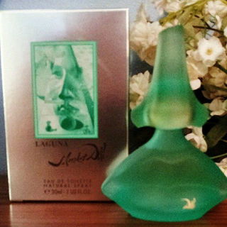 Laguna by Salvador Dali