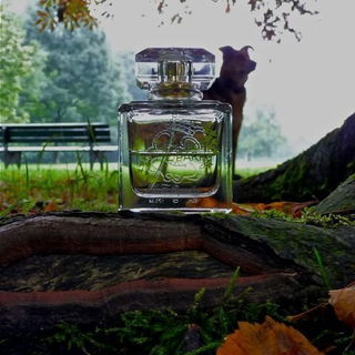 Essence of the Park / The Essence of Central Park (Profumo) - Carthusia