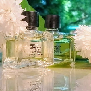 Sommerfrische - ganz lieben Dank für eure Besuche und lieben Kommentare 🌞🫶