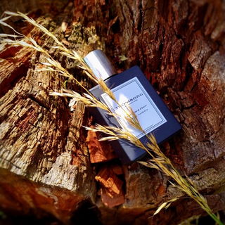 New Matter - Tromborg