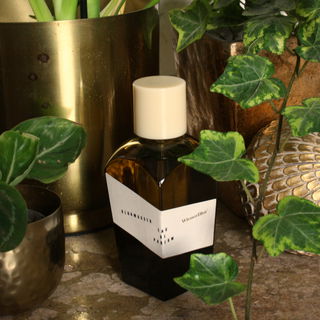 Klubwasser (2018) - WienerBlut