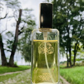 Aspen for Women (Cologne) - Coty