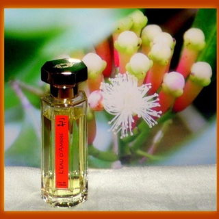 L'Eau d'Ambre - L'Artisan Parfumeur