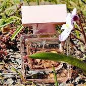 Eine blumige Umarmung - Ganz herzlichen Dank für euren Fotobesuch und den lieben Worten.💚 (by GreenIvy)