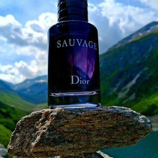 Sauvage (Eau de Toilette) von Dior