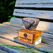 Sommersonnwende : Ein Hybrid aus : Byzantinian Garden - Grashalmen. Cologne du Bois - Frische.Drydown : Ein Hauch von Garut Leatherouds - Zuckerpeitsche ohne Leder. :-) Danke. 😊 (von Seejungfrau)