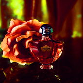 Ich wünsche Euch allen schöne Weihnachten und entspannte Feiertage 🎄✨🎁 🎅 und sage herzlich Dankeschön 🙏🥰 (by MadameLegras)