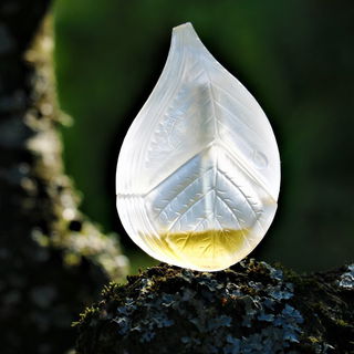 Parfum d'Été (Eau de Toilette) - Kenzo