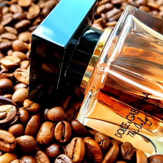 The Only One (Eau de Parfum) - Dolce & Gabbana
