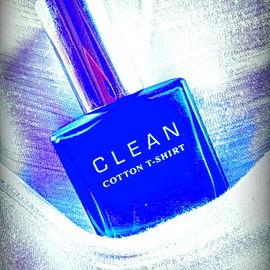 Cotton T-Shirt - Clean