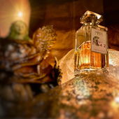 FOHE WEIHNACHTEN an alle !! (von IrisNobile)