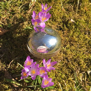 Be Delicious Fresh Blossom (Eau de Parfum) - DKNY