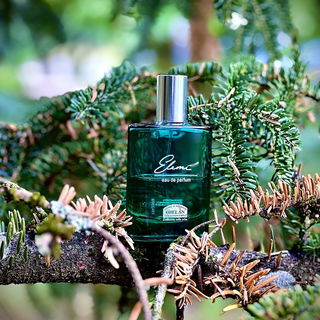 Elemi (Eau de Parfum) von Helan
