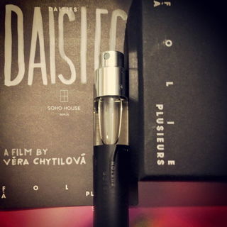 Daisies by Moth and Rabbit