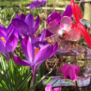 Daisy Sorbet von Marc Jacobs