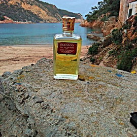 Écusson de Jean D'Albret www.profumeria.fontanellistore.com