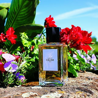Black Tie (Eau de Parfum) - Celine
