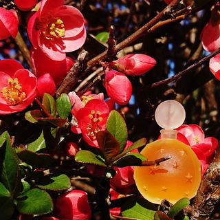 Hier hat sich ein besonderes Ei versteckt 🥚 Frohe Ostern 🐣 und danke, ich freu mich 🥰