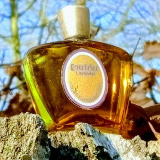 Patrizier Lavendel - Jünger & Gebhardt