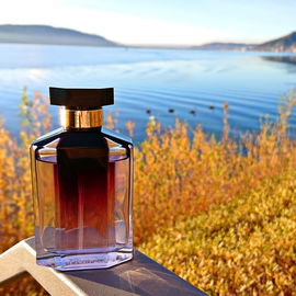 Herbststimmung am See .... ein Ort zum Entspannen