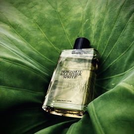 Zara Rain N°02 - Bergamot & Leather Spritz - Zara