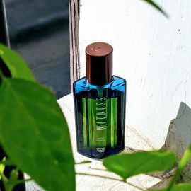 Witness (Eau de Toilette) - Jacques Bogart