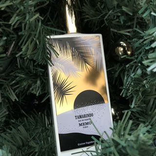 Tamarindo - Memo Paris