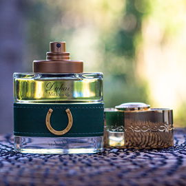 Dubai - Meydan (Eau de Parfum) - The Spirit of Dubai