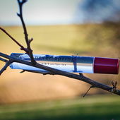 Sowas von gelogen! Ich wünsche euch allen einen tollen Frühling! Vielen Dank für eure Kommentare (von DrHildegard)