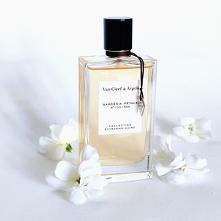 Gardenia / N°41 - M. Micallef