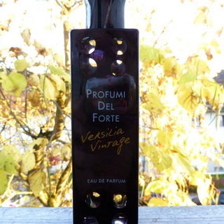 Versilia Vintage - Boisé von Profumi del Forte