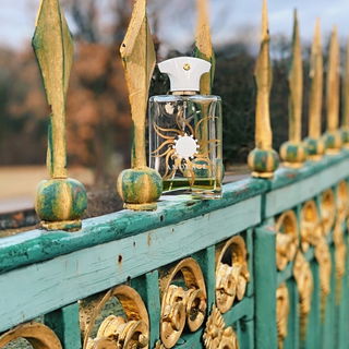 Sunshine Man - Amouage
