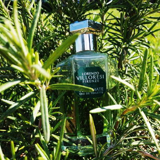 Yerbamate by Lorenzo Villoresi