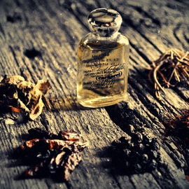 Cacharel pour L'Homme (Eau de Toilette) - Cacharel