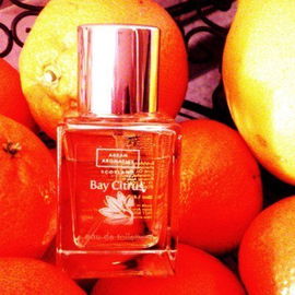 Lochranza / Bay Citrus - Arran