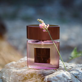 Café Rose (2023) - Tom Ford