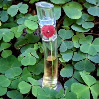 Flower by Kenzo (Eau de Parfum) by Kenzo