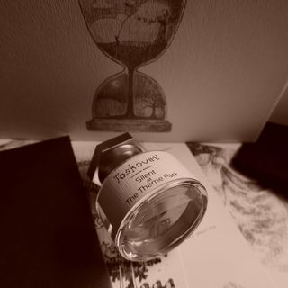 Silent at the Theme Park by Toskovat'