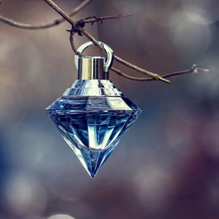 Wish (Eau de Parfum)