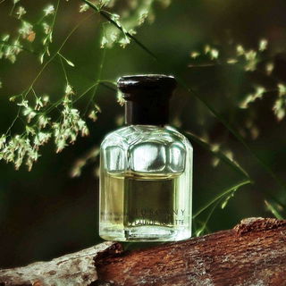 Tuscany per Uomo / Etruscan (Eau de Toilette) - Aramis