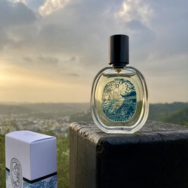 Do Son Édition Limitée 2023 (Eau de Toilette) - Diptyque