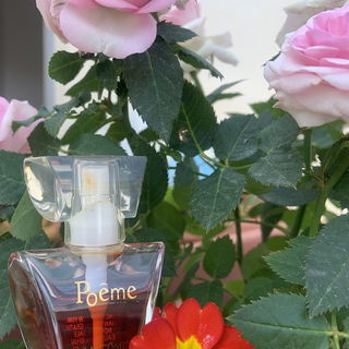 Poême (Eau de Parfum) von Lancôme