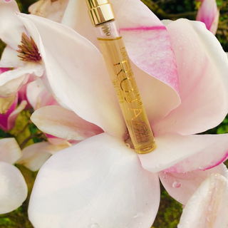 Enigma / Creation-E (Parfum) - Roja Parfums