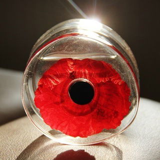 Flower in the Air (Eau de Parfum) - Kenzo